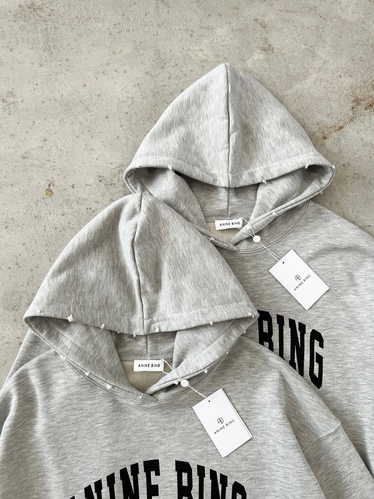 Anine Bing Sport Hoodie – Grey